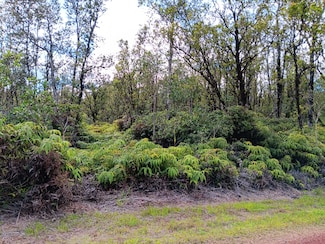0 Waimaka O Pele Rd, Mountain View, HI 96771