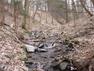 0 Crumb Hill & Meyer Hill Rd Unit B406102, East Otto, NY 14729