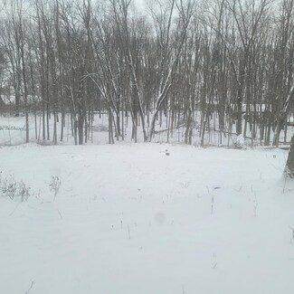 10400 Corey Bluff Rd, Fabius Township, MI 49093