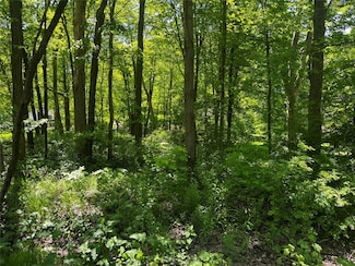 0 0 Woodmont & Susquehanna Dr, Meadville, PA 16335
