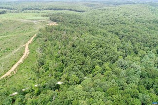 1525 Wilson Rd, Arrington, VA 22922