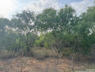 000 Granto Rd, Poteet, TX 78065