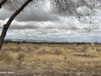 0 Tumbling T Dr, Springerville, AZ 85938