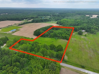 V L 10 55a E Grant Rd, Hesperia, MI 49421
