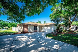 4223 Summerdale Dr, Tampa, FL 33624