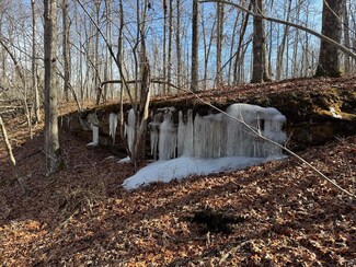 Lot 37 Crystal Point, Monterey, TN 38574