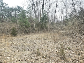 0 14th Ave Unit 25012379, South Haven Charter Township, MI 49090