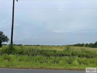 TBD E Brown Tract Rd, Lozano, TX 78568