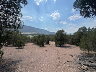4198 S Artifact Dr, Cedar City, UT 84720