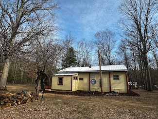 11384 N Irons Rd, Irons, MI 49644