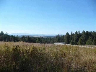 13517 E Deer Creek Rd, Chattaroy, WA 99003