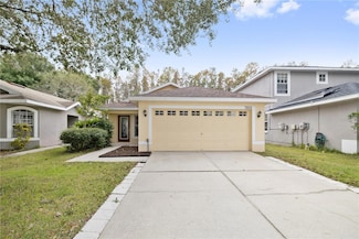 7852 Citrus Blossom Dr, Land O Lakes, FL 34637