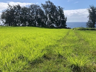 0 Loa Rd Lot#79, Pepeekeo, HI 96783