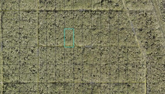 XX Hagar St, Hastings, FL 32145