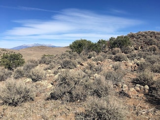Tbd Road 12, Sanford, CO 81151