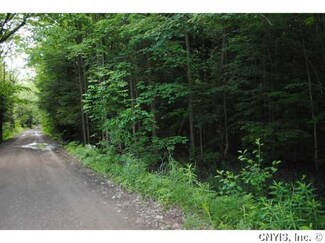 134 Peck Rd, Pulaski, NY 13142