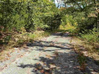 L-55 & 56 B-7 Lochloosa Dr, Cherokee Village, AR 72529