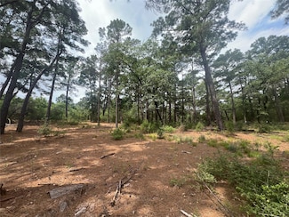 Lot 91 N Hill Ridge Dr, Bastrop, TX 78602