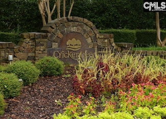 210 Stormycreek Ln, Blythewood, SC 29016