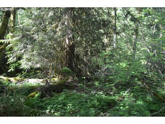25777 E Bright Ave, Mount Hood Village, OR 97067