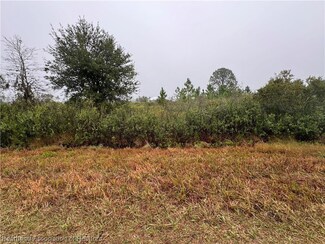 2135 W Howley Rd, Avon Park, FL 33825