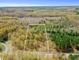 Lot 9 Truax Lake Rd, Whitewater Township, MI 49690