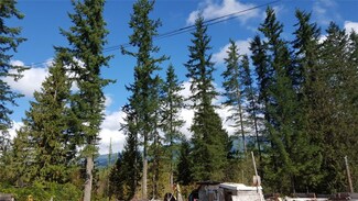 41401 Larson Dr, Gold Bar, WA 98251