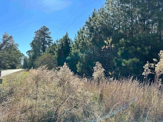 34-15-9 Bradley Rd, Hermitage, AR 71647