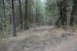 TBD Outlaw Trail, Horseshoe Bend, ID 83602