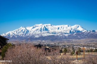 1344 N Lower Lookout Knoll Ct, Heber City, UT 84032