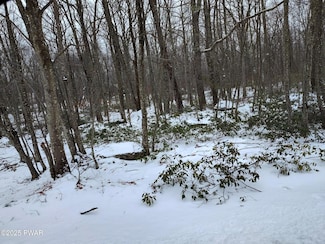 229 Locust Dr, Dingman Township, PA 18337