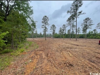 6007 E Old Marion Hwy, Florence, SC 29506