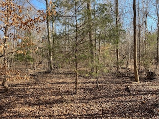 0 Farmers Academy Rd Unit 21222581, Martin, GA 30557