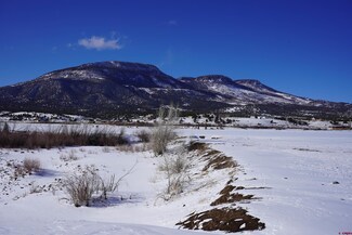 268 Pfieffer Pkwy, South Fork, CO 81154