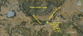 0 Yellow Pine Rd Unit 3007541, Beatty, OR 97621