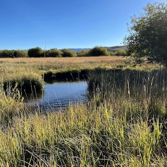 TBD 11.21ac U S Highway 89, Bloomington, ID 83223