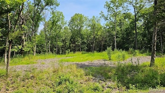 2472 E Squire Rd, Charrette Township, MO 63357