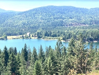 NKA N Leclerc Rd, Ione, WA 99139