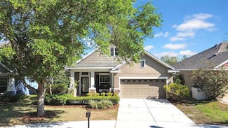 15861 Starling Water Dr, Lithia, FL 33547