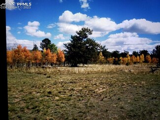 614 Yellowstone Rd, Hartsel, CO 80449
