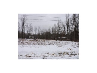 Lot 3 Herner County Line Rd, Southington, OH 44470