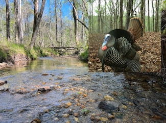 0 Olive Branch Rd Unit LotWP002 22506813, Rockford, AL 35136