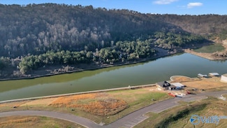 Lot 17 Colonial Dr, Guntersville, AL 35976