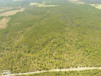 0 Frank Trahan Rd, Reeves, LA 70658