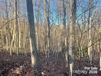 129 Pinnacle Peak Ln, Flat Rock, NC 28731