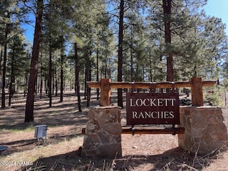 315 Granite Ridge Ranch, Flagstaff, AZ 86001