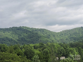 60 Gins Ln Unit lot 11, Mars Hill, NC 28754