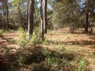 276 Cherry Ln, Myrtle Beach, SC 29572