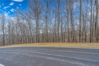 153 Catnip Trail, Landrum, SC 29356