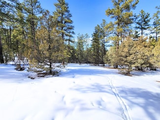 Poso Rd, Tierra Amarilla, NM 87575